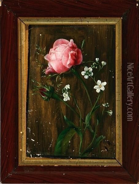 A Pink Rose Oil Painting - Sophie Madsen