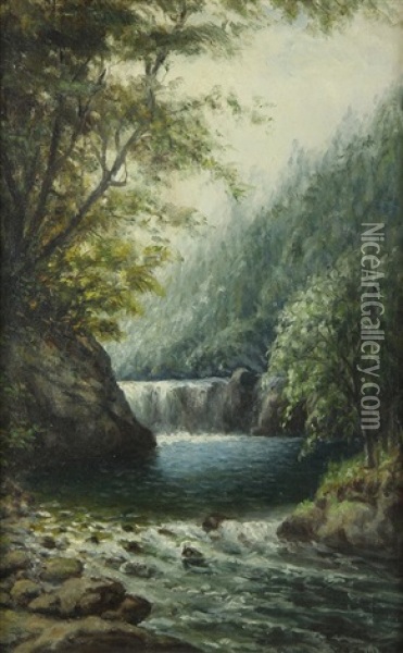 Near Skagg's Springs Oil Painting - William Alexander Coulter