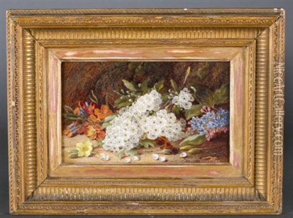 Still Life Of Flowers Oil Painting - Oliver Clare