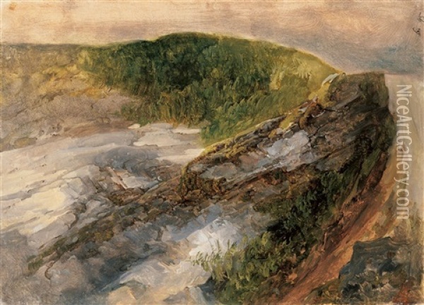 Felswand Mit Fichten Oil Painting - Thomas Ender