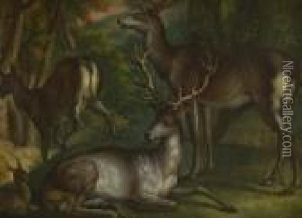 Rotwild Im Wald. Oil Painting - Johann Elias Ridinger or Riedinger