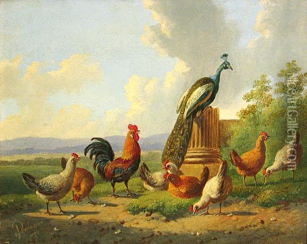 A Peacock And A Flock Of Chickens In Alandscape Oil Painting - Albertus Verhoesen