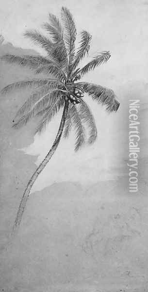 Palm Tree Oil Painting - Elihu Vedder
