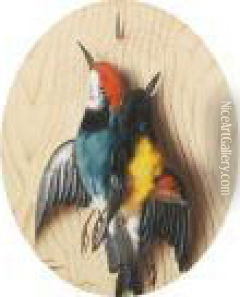 Still Lifes Of Birds, A Pair Oil Painting - Michaelangelo Meucci