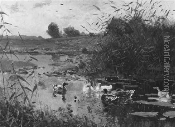 Ein Bachlauf Mit Enten Oil Painting - Adolf Lins