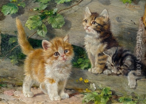 Drei Junge Katzen Oil Painting - Julius Adam the Younger