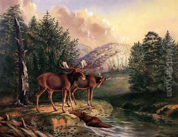 Moose in Maine Oil Painting - Titian Ramsay Peale