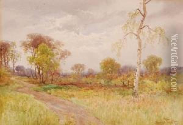 Rural Landscape Oil Painting - Charles Pigott