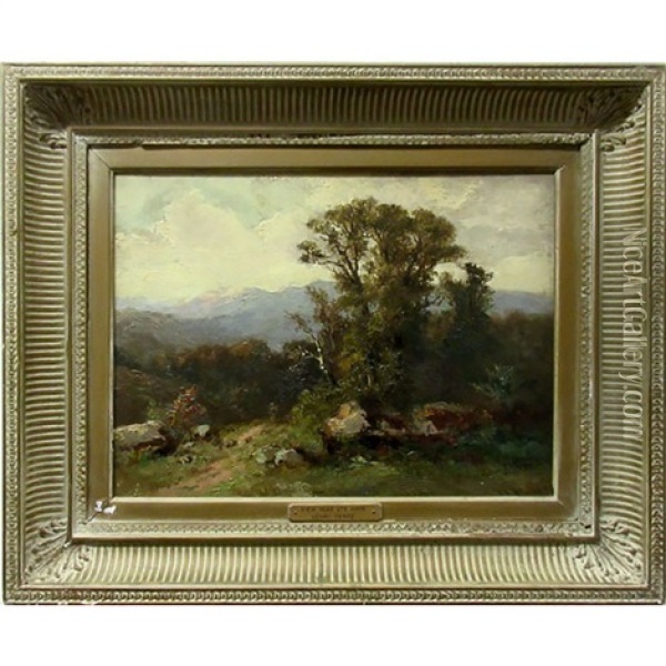 View Near Ste Anne Oil Painting - Henri Perre