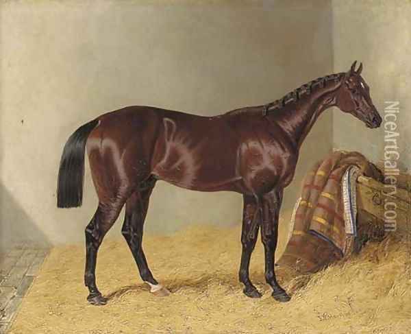 Mango, winner of the 1837 St. Leger Stakes, in a stable Oil Painting - John Frederick Herring Snr