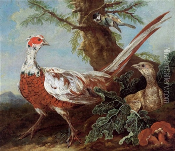 Ein Fasan Und Eine Fasanenhenne In Einer Bewaldeten Landschaft Oil Painting - Philipp Ferdinand de Hamilton