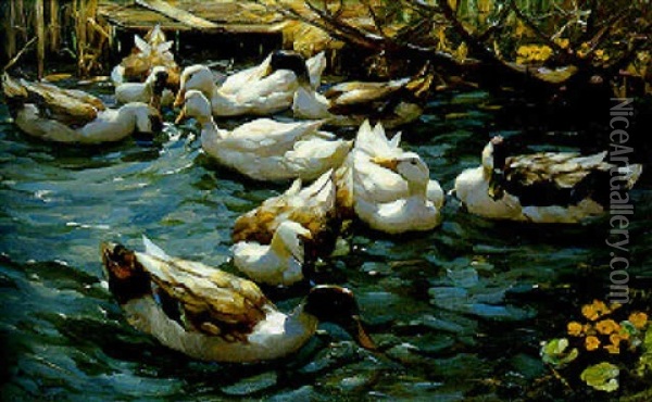 Enten In Schilfwasser Unter Asten Oil Painting - Alexander Max Koester