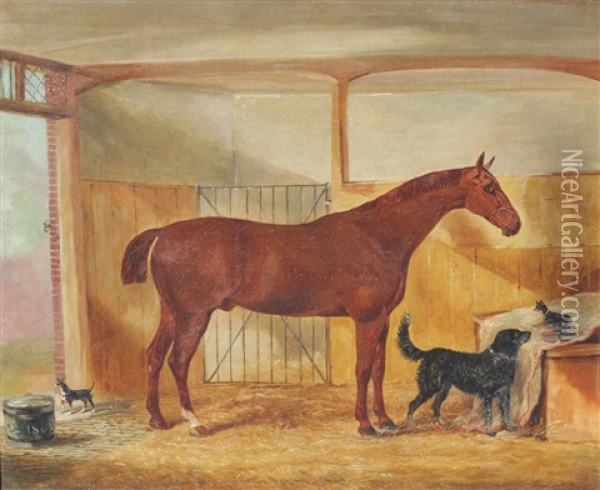 Stable Scene With Stallion, Chihuahua And Mutt Oil Painting - John Vine