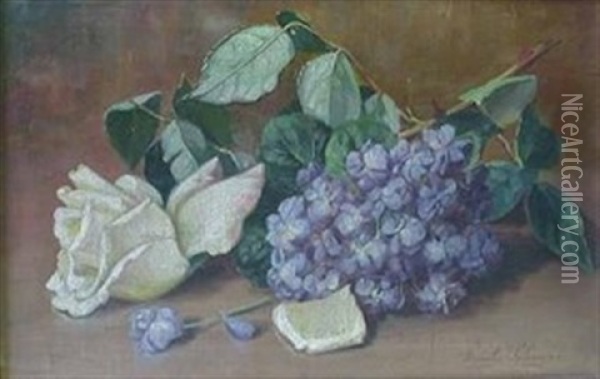 Still Life With White Rose And Wisteria Oil Painting - Emily Selinger