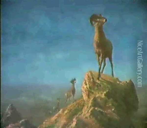 Rocky Mountain Big Horns Oil Painting - Albert Bierstadt