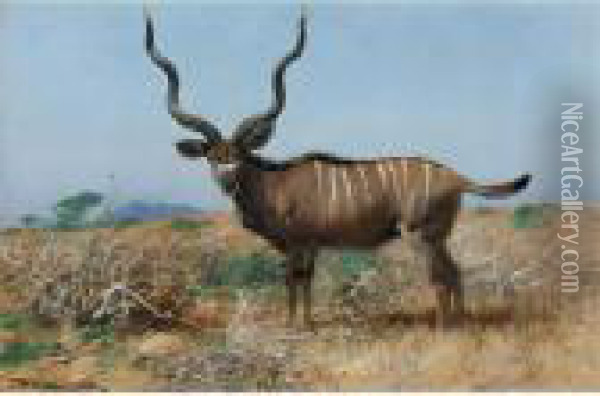 Antelope Oil Painting - Wilhelm Kuhnert