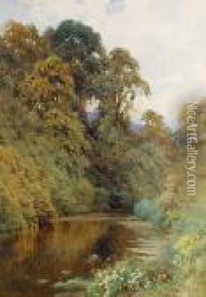 The River Mole, Near Dorking Oil Painting - Harry Sutton Palmer