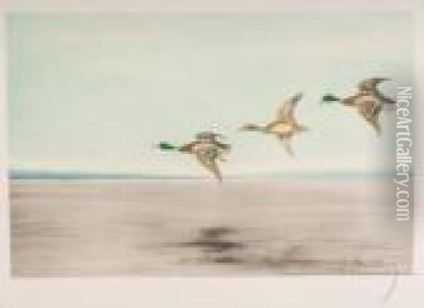 Ducks Landing Oil Painting - Leon Danchin