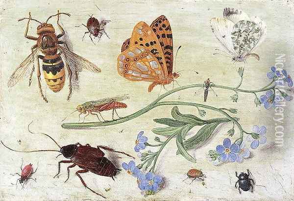 Insects 4 Oil Painting - Jan van Kessel