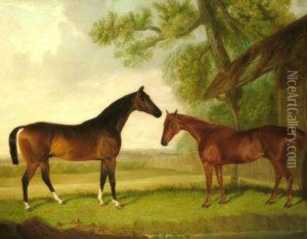 Two Chestnut Hunters By A Stable In A Landscape Oil Painting - William Wombill