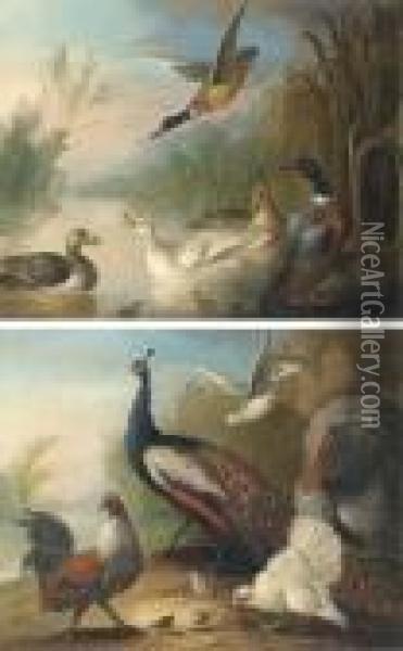 Ducks On A River; And Peacock, Turkey And Chickens On Ariverbank Oil Painting - Marmaduke Cradock