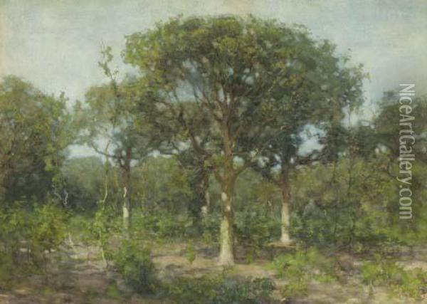 A Wooded Landscape Oil Painting - Willem Bastiaan Tholen