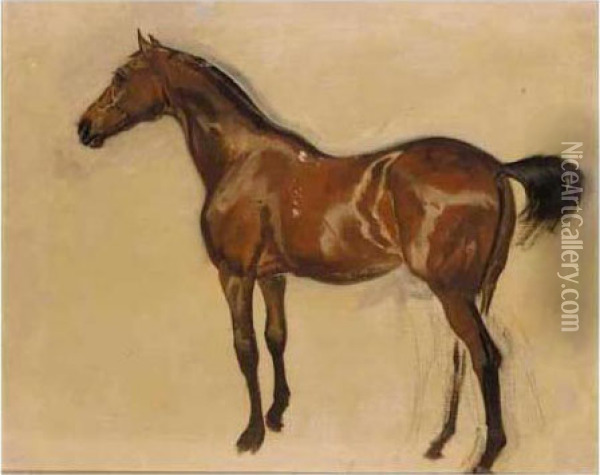 Sketch Of A Brown Horse Oil Painting - James Lynwood Palmer
