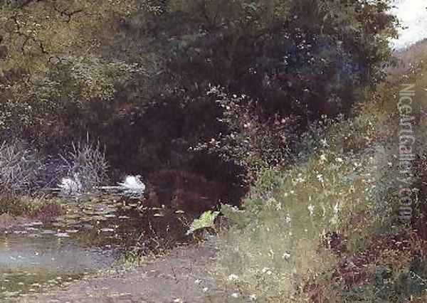 Swans on a Lake 1889 Oil Painting - Thomas Mackay