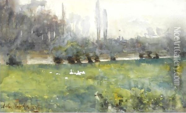 Swans In A Meadow Oil Painting - Arthur Melville