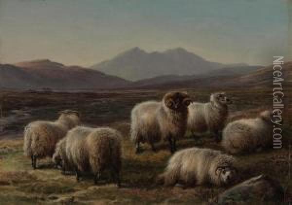 Sheep In A Highland Landscape Oil Painting - Charles Jones