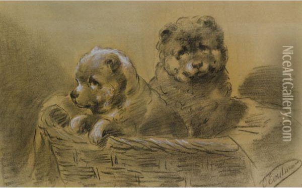Two St Bernard Puppies Oil Painting - Otto Eerelman
