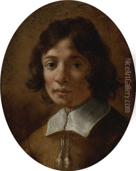 Portrait Of A Boy In Brown Oil Painting - Giovanni Giovanni da San (Mannozzi)