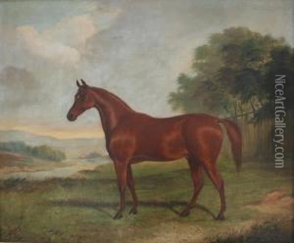 A Light Bay Horse In A Field Oil Painting - Richard Barrett Davis