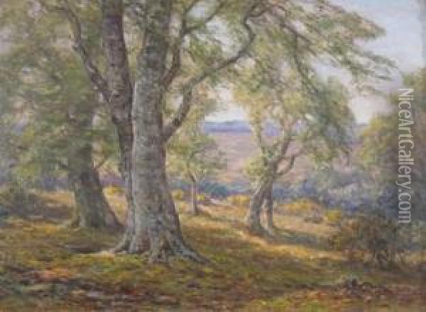 Spring In The New Forest Oil Painting - Frederik Golden Short