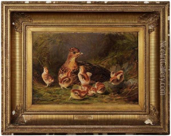 A Covey Of Grouse Oil Painting - Arthur Fitzwilliam Tait