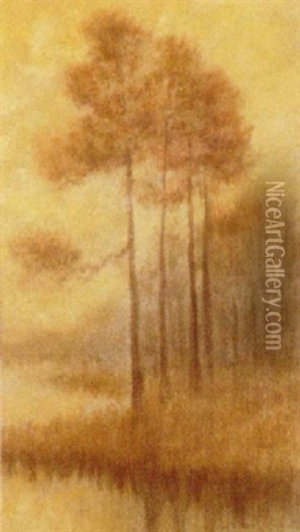 Pine Trees Oil Painting - Alexander John Drysdale
