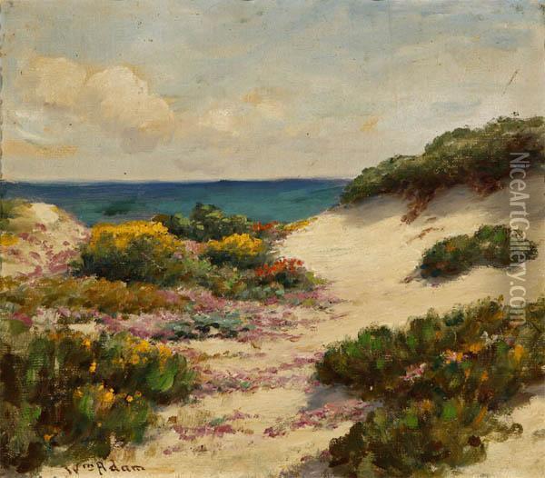 Sand Dunes - Sand Flowers Oil Painting - William Adam