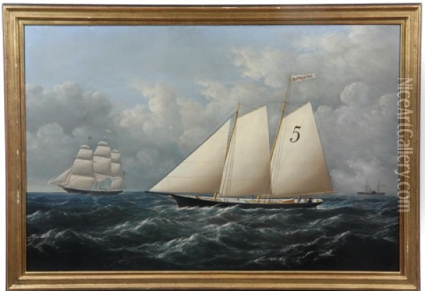 Ship's Portrait Of Pilot Boat 'favorita' Oil Painting - Conrad Freitag