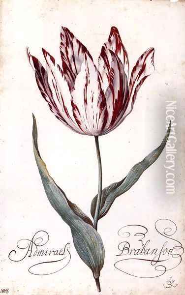 Tulip 2 Oil Painting - Balthasar Van Der Ast