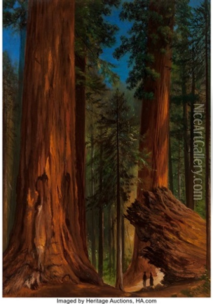 Redwood Forest, Yosemite Valley Oil Painting - Gilbert Munger