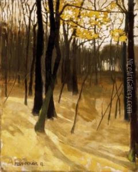 Autumn Forest Oil Painting - Vilmos Aba-Novak