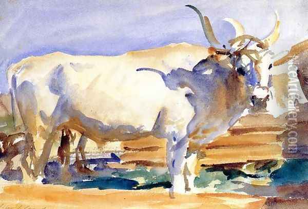 White Ox at Siena Oil Painting - John Singer Sargent