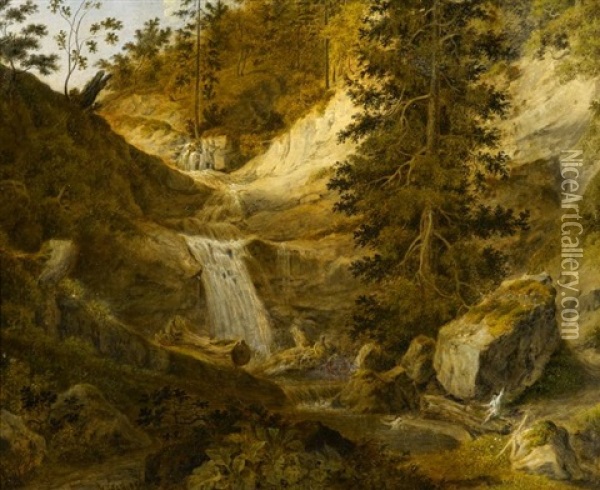 Wasserfall In Der Schweiz Oil Painting - Friedrich Christian Reinermann