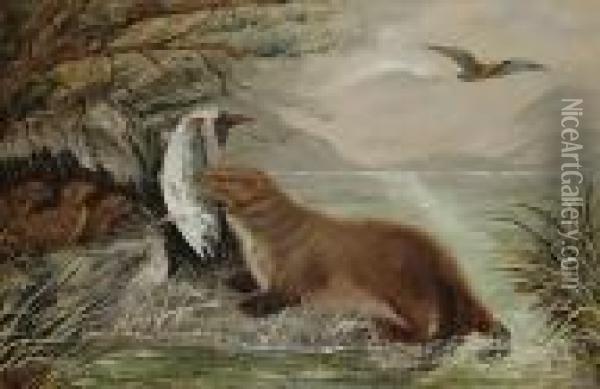 An Otter Bringing Food To Its Young Oil Painting - Robert Cleminson