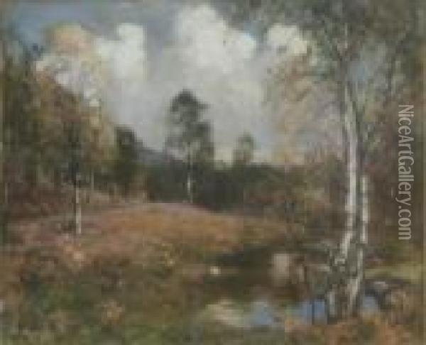 R.a., H.r.s.a., R.s.w. Pair Of 
Oils On Canvas Birch Trees Beside A Stream And On A Hillside Signed 14.5
 X 17.5in Oil Painting - David Murray