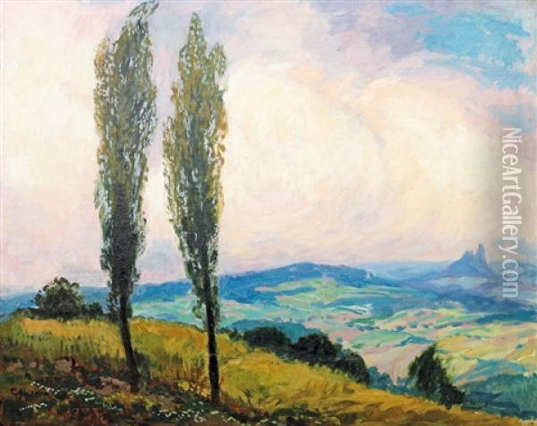 Krajina S Topoly Oil Painting - Gustav Macoun