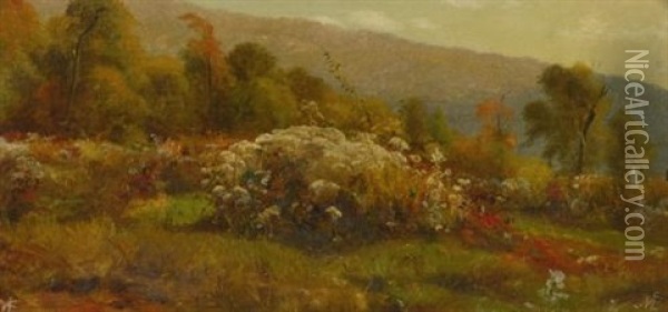 Fall Flowers On A Hillside Oil Painting - Jervis McEntee