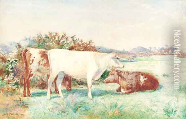 Cattle in a meadow Oil Painting - John Pedder