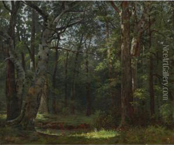 Swamp (the Buttonwood Grove) Oil Painting - William Tylee Ranney