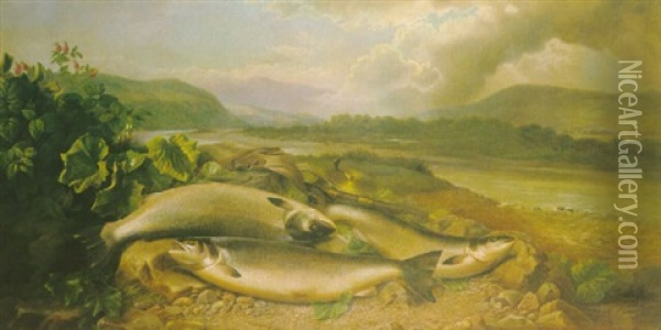 Three Fresh-run Hen Salmon On The Banks Of The Spey Near Glen Grant Oil Painting - John Bucknell Russell